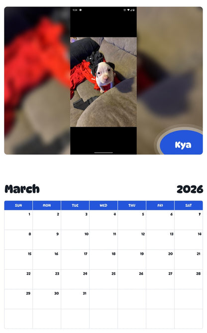November 2025 - October 2026 Kya - Pawidols Pet Calendar