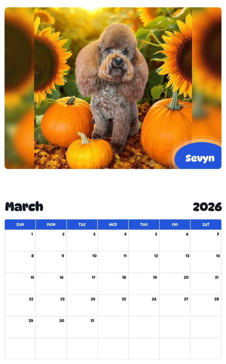 November 2025 - October 2026 Sevyn - Pawidols Pet Calendar