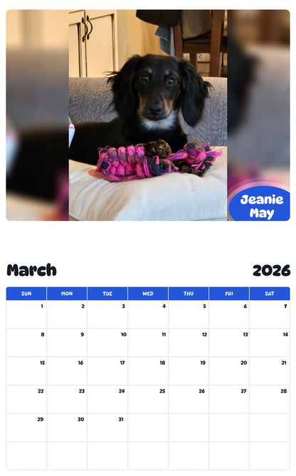 November 2025 - October 2026 Jeanie May - Pawidols Pet Calendar
