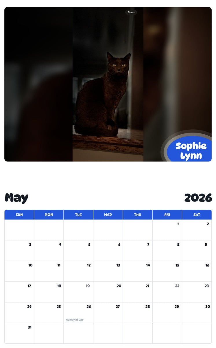 2026 - 2027 Sophie Lynn - Pawidols Pet Calendar