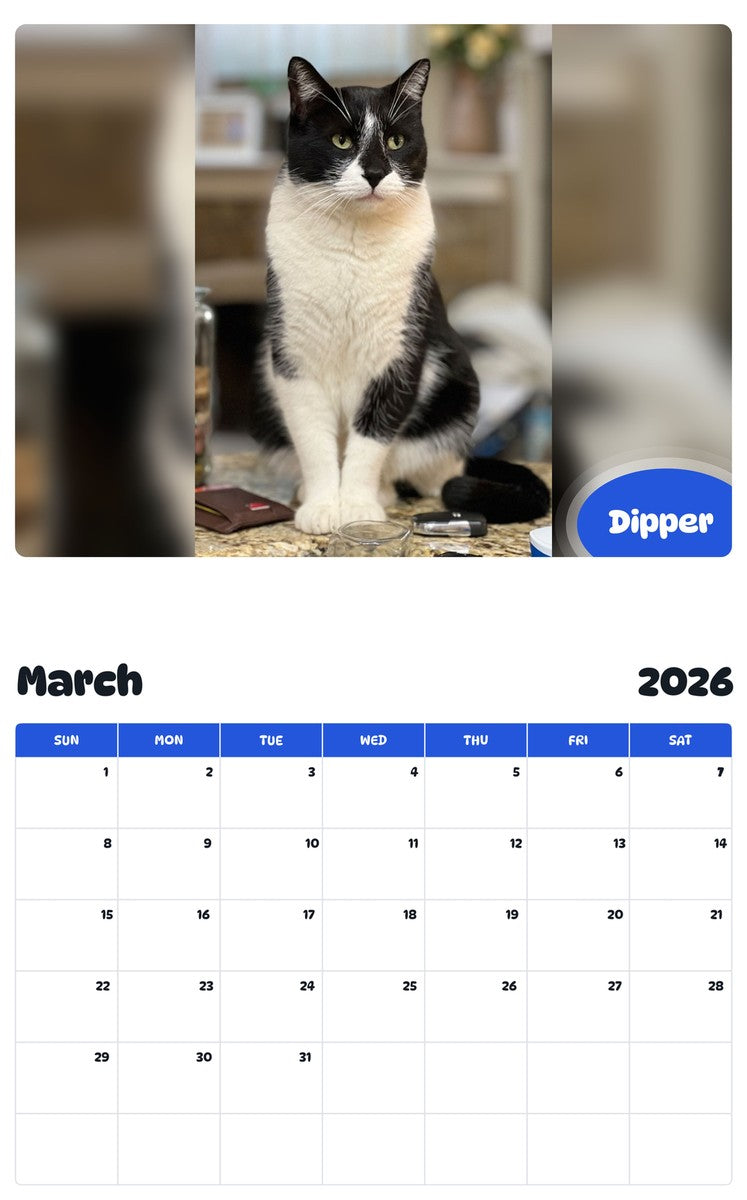 November 2025 - October 2026 Dipper - Pawidols Pet Calendar