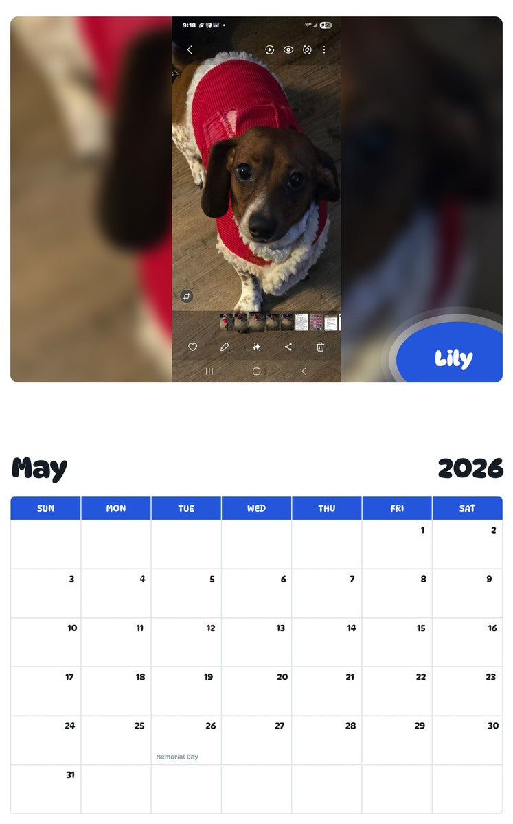 2026 - 2027 Lily - Pawidols Pet Calendar