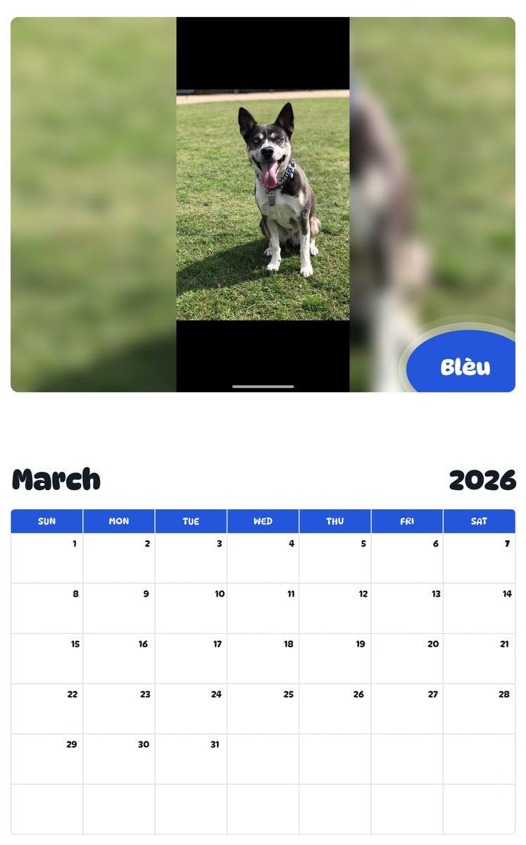 November 2025 - October 2026 Blèu - Pawidols Pet Calendar