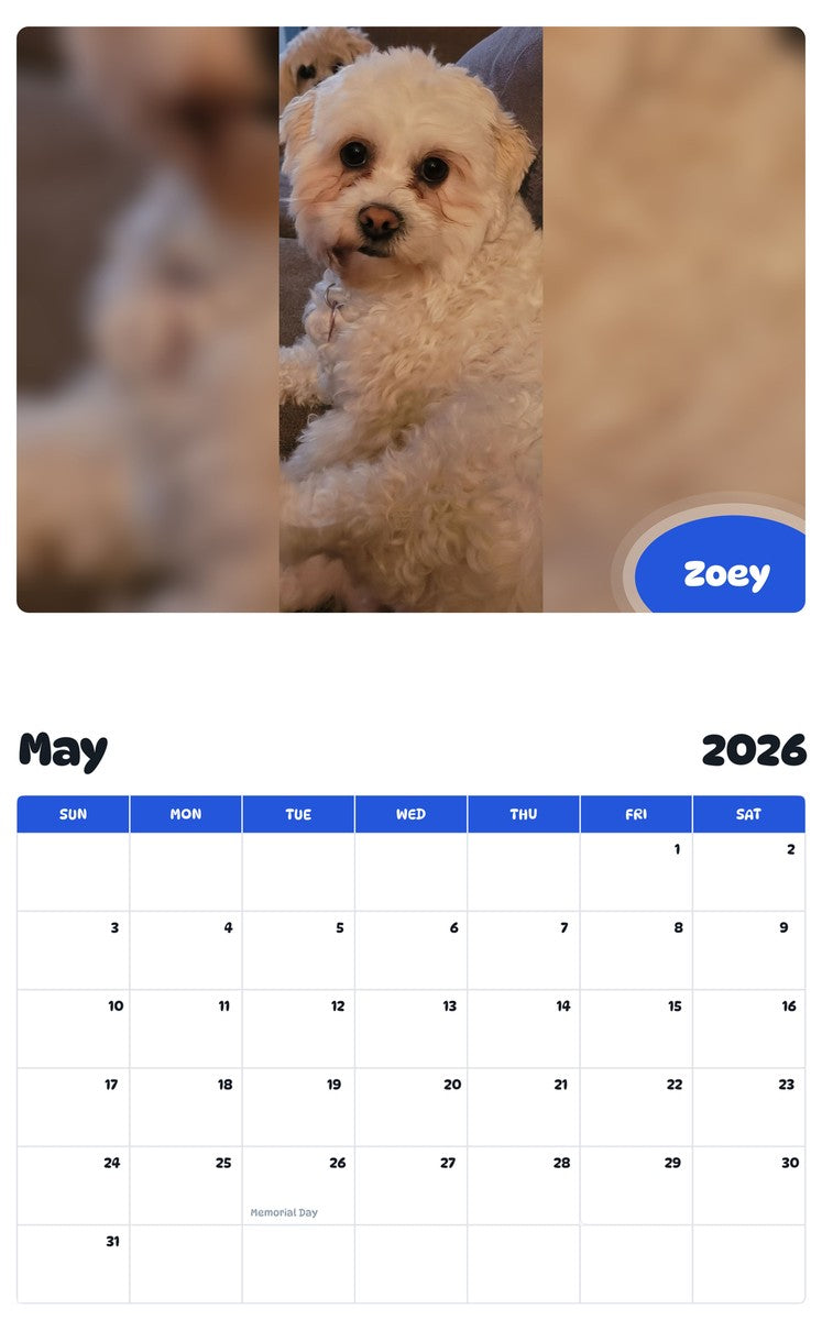 2026 - 2027 Zoey - Pawidols Pet Calendar