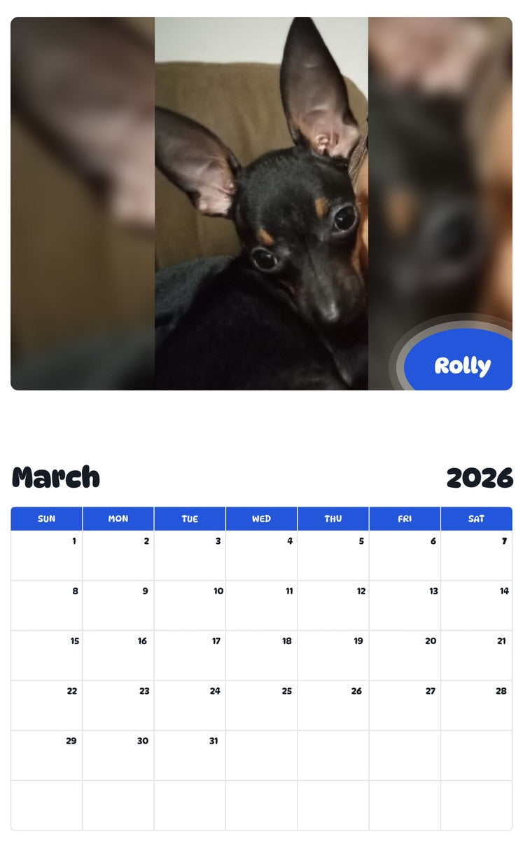 November 2025 - October 2026 Rolly - Pawidols Pet Calendar