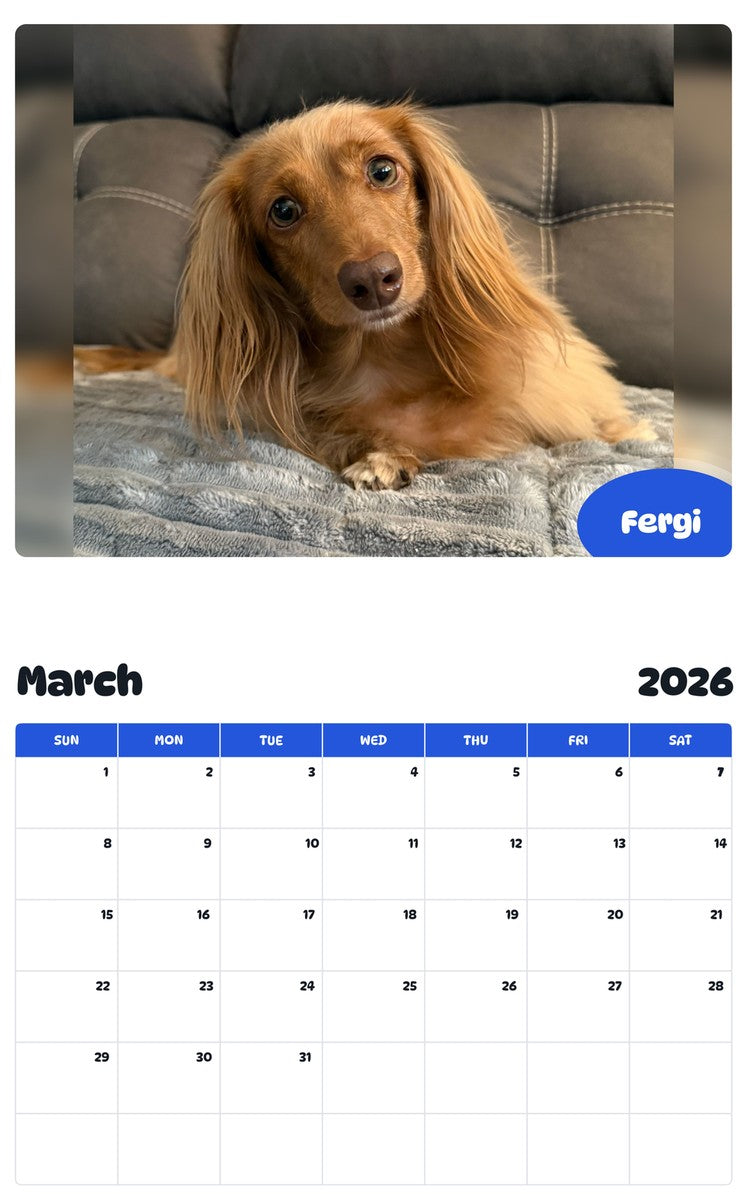 November 2025 - October 2026 Fergi - Pawidols Pet Calendar
