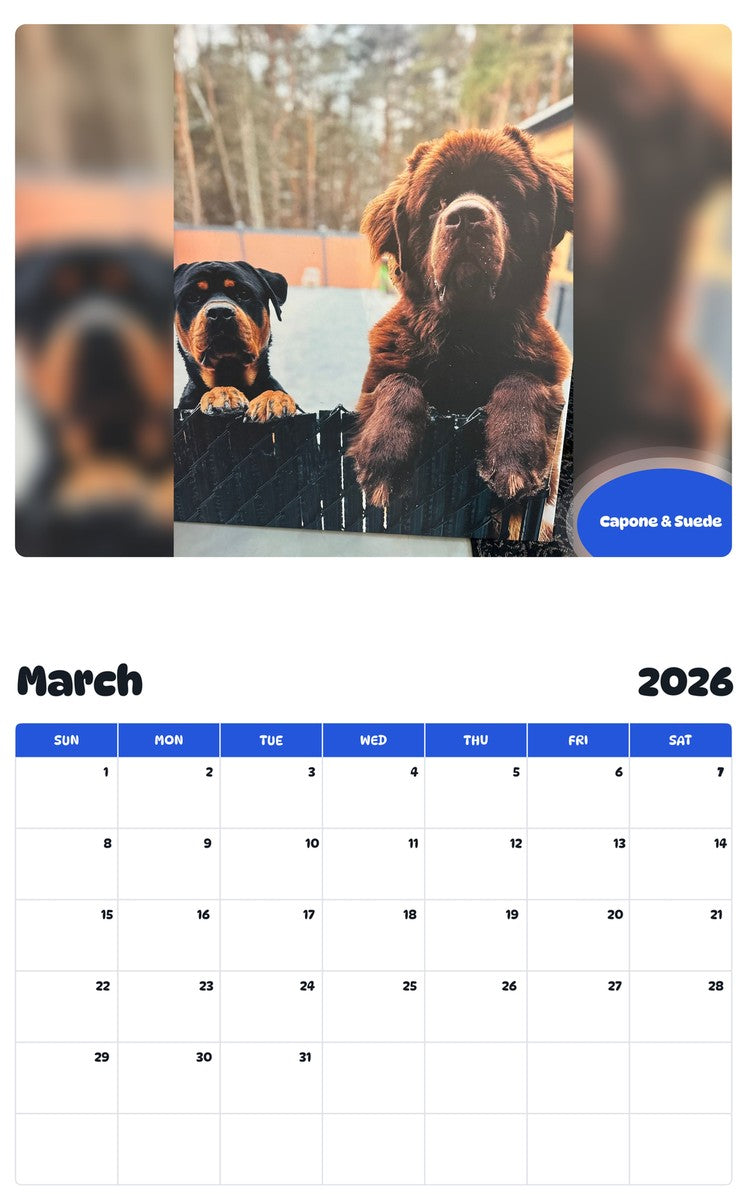 November 2025 - October 2026 Capone & Suede - Pawidols Pet Calendar
