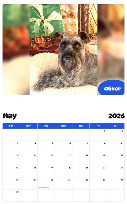 2026 - 2027 Oliver - Pawidols Pet Calendar