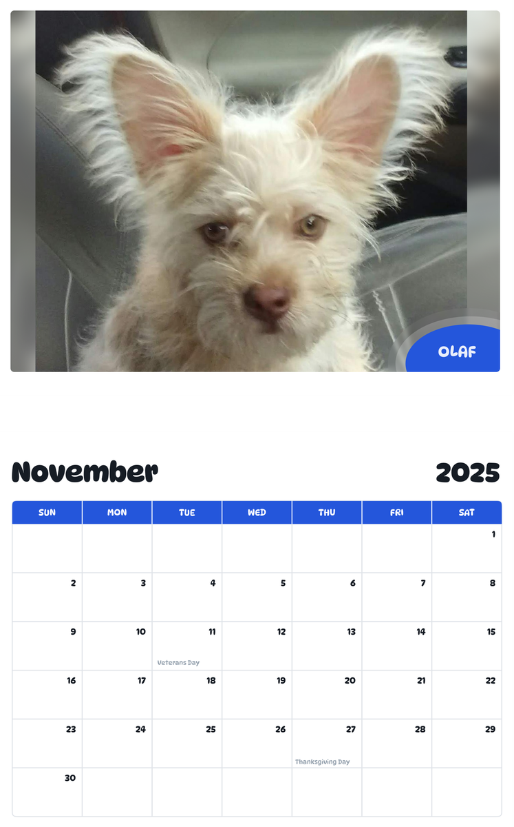 July 2025 - June 2026 Olaf - Pawidols Pet Calendar