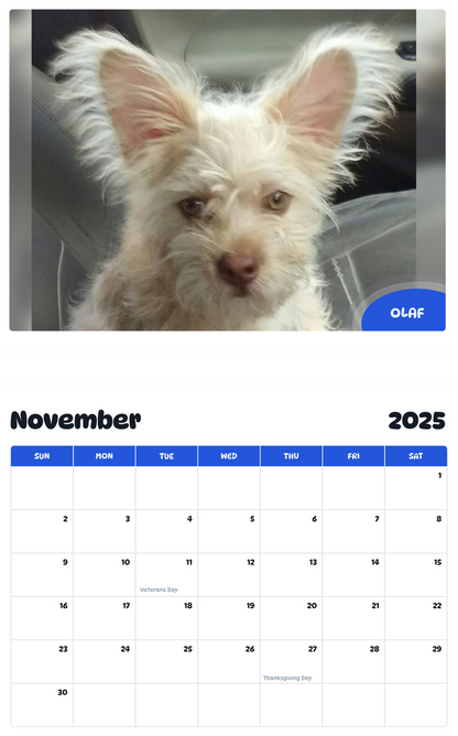 July 2025 - June 2026 Olaf - Pawidols Pet Calendar