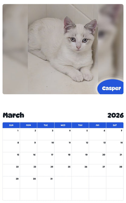 November 2025 - October 2026 Casper - Pawidols Pet Calendar