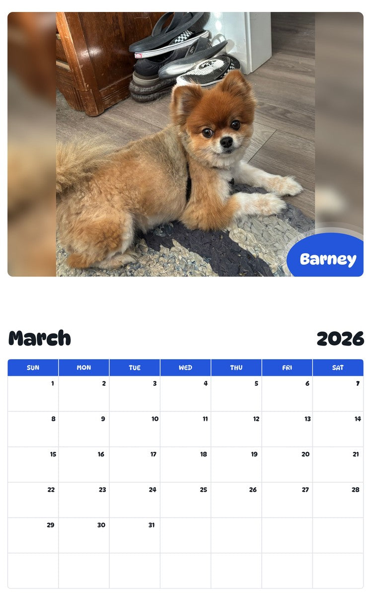 November 2025 - October 2026 Barney - Pawidols Pet Calendar