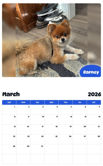 November 2025 - October 2026 Barney - Pawidols Pet Calendar