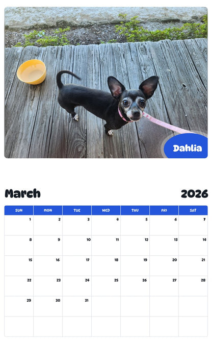 November 2025 - October 2026 Dahlia - Pawidols Pet Calendar
