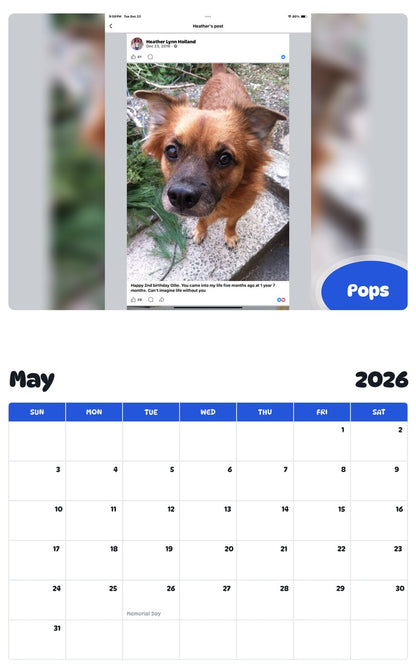2026 - 2027 Pops - Pawidols Pet Calendar