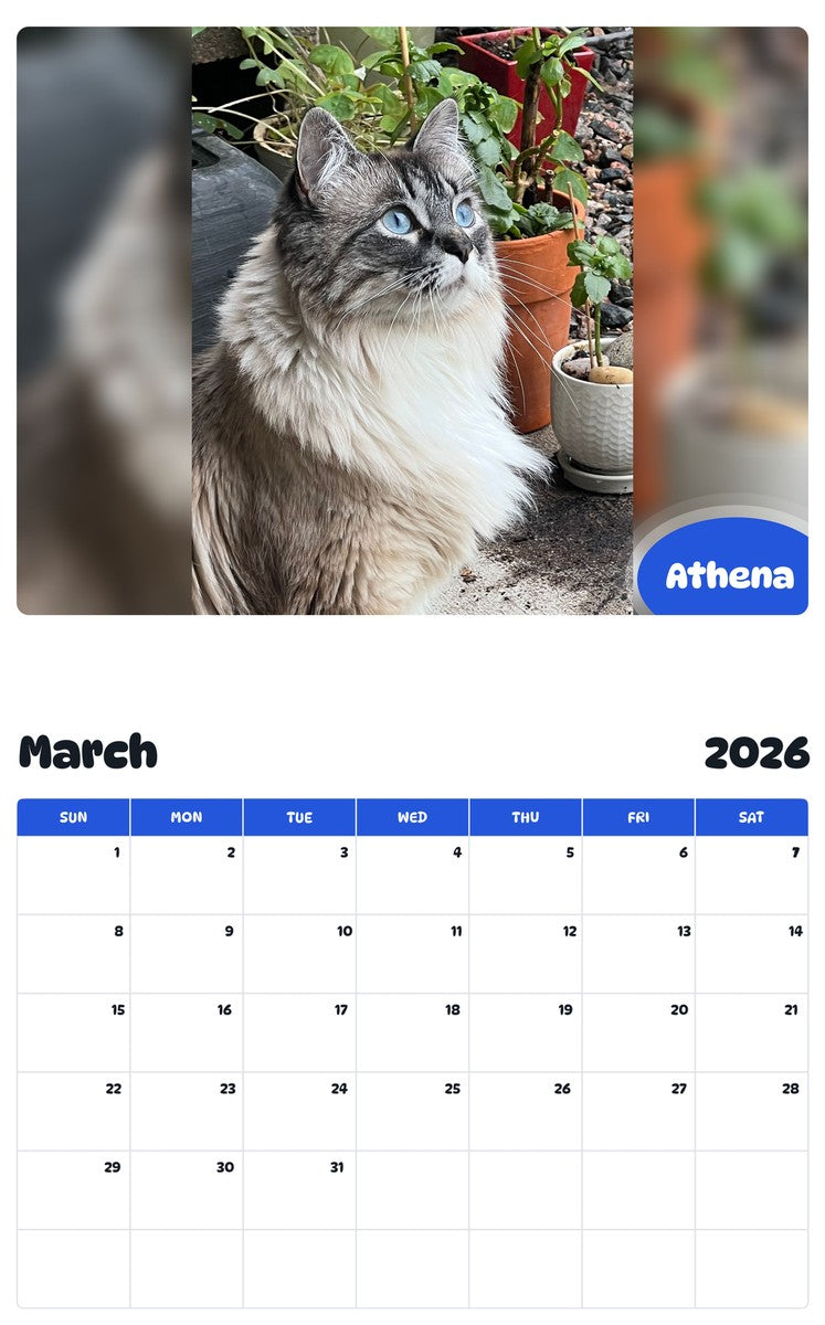 November 2025 - October 2026 Athena - Pawidols Pet Calendar