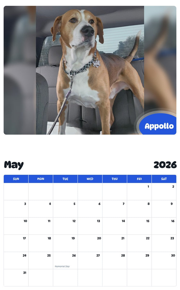 2026 - 2027 Appollo - Pawidols Pet Calendar