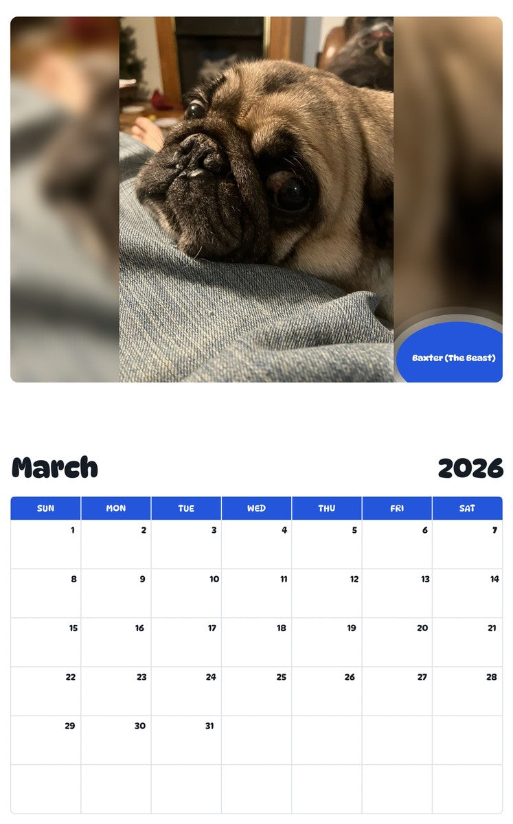 November 2025 - October 2026 Baxter (The Beast) - Pawidols Pet Calendar