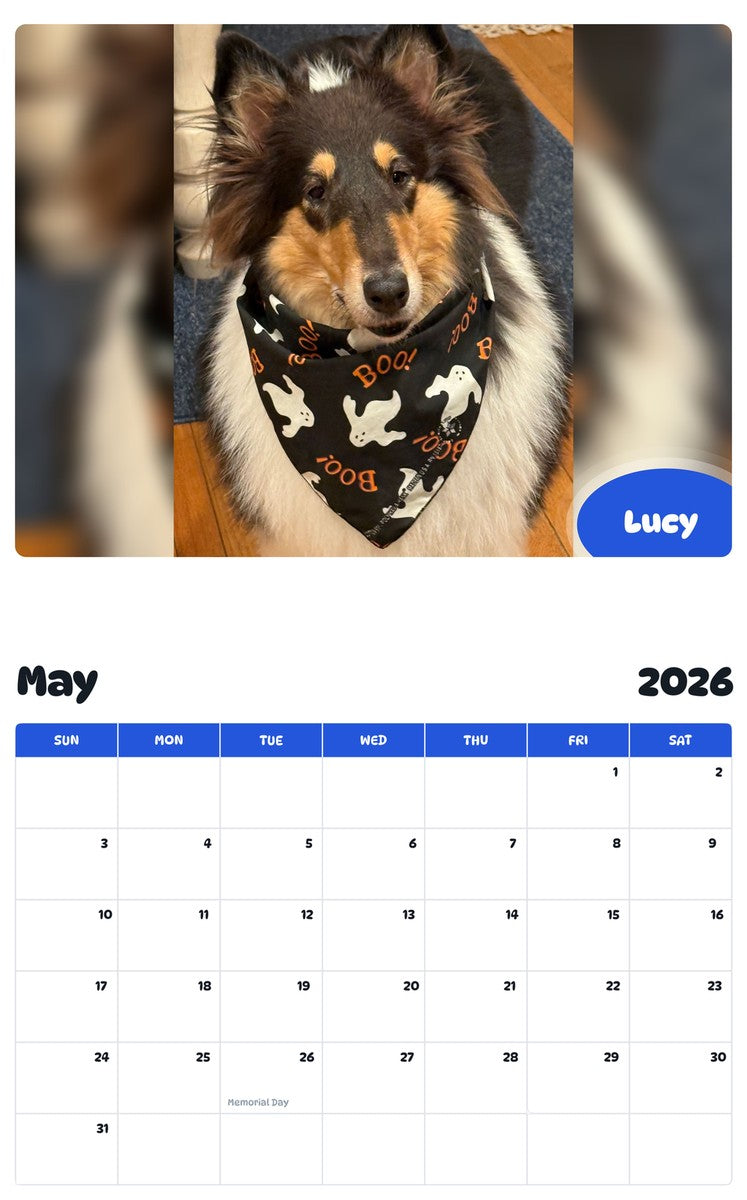 2026 - 2027 Lucy - Pawidols Pet Calendar
