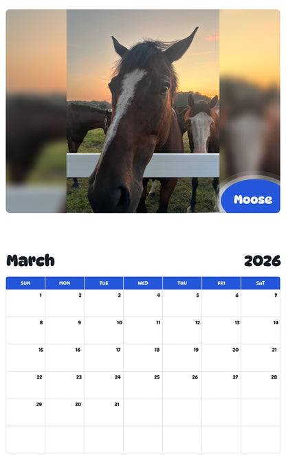 November 2025 - October 2026 Moose - Pawidols Pet Calendar