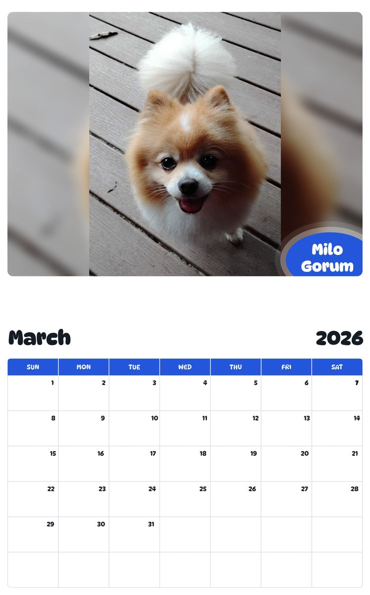 November 2025 - October 2026 Milo Gorum - Pawidols Pet Calendar