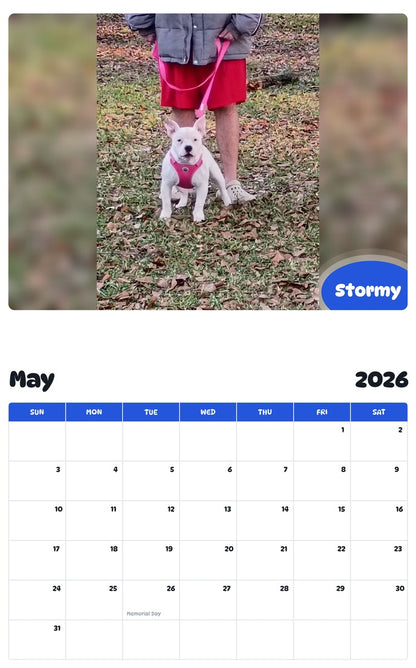 2026 - 2027 Stormy - Pawidols Pet Calendar