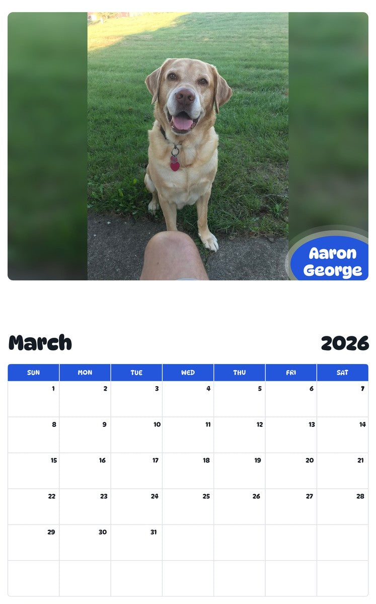 November 2025 - October 2026 Aaron George - Pawidols Pet Calendar