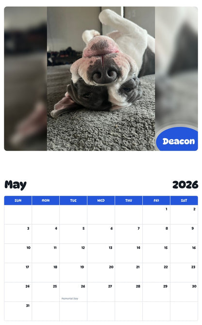 2026 - 2027 Deacon - Pawidols Pet Calendar