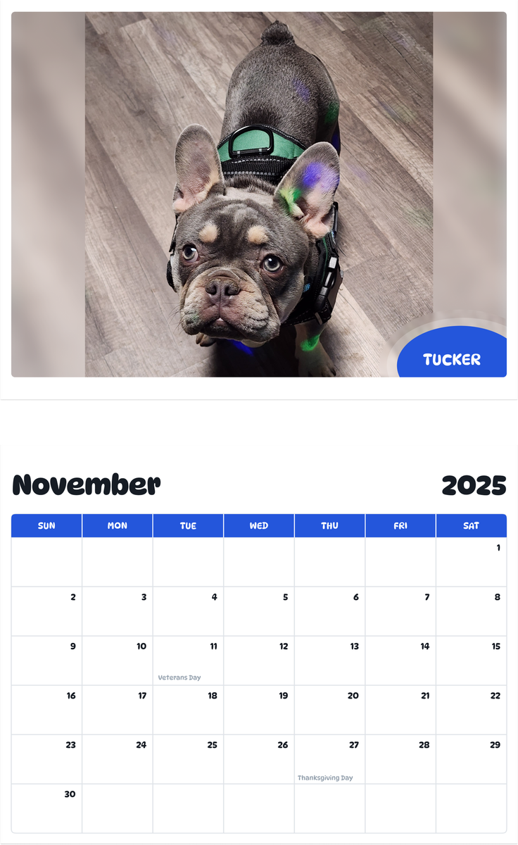 July 2025 - June 2026 Tucker - Pawidols Pet Calendar