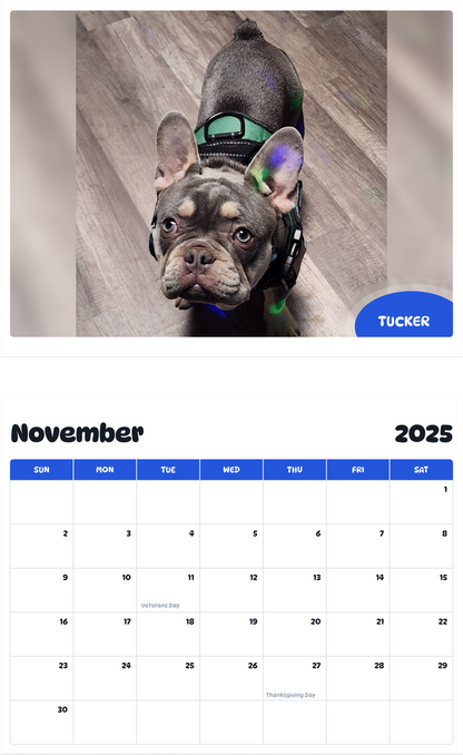 July 2025 - June 2026 Tucker - Pawidols Pet Calendar