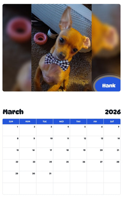 November 2025 - October 2026 Hank - Pawidols Pet Calendar