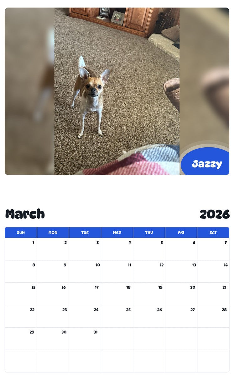 November 2025 - October 2026 Jazzy - Pawidols Pet Calendar
