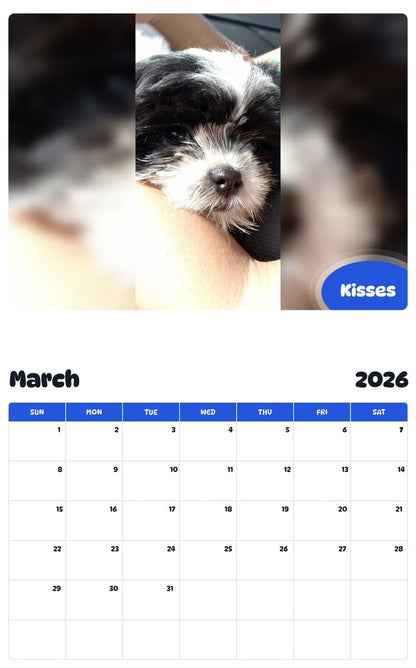 November 2025 - October 2026 Kisses - Pawidols Pet Calendar
