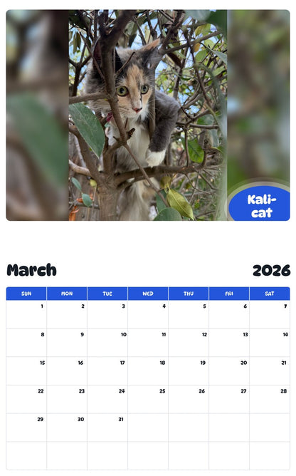 November 2025 - October 2026 Kali-cat - Pawidols Pet Calendar