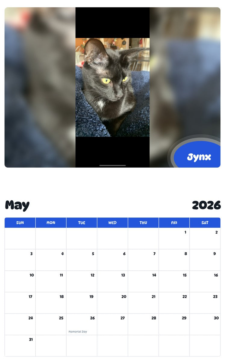 2026 - 2027 Jynx - Pawidols Pet Calendar