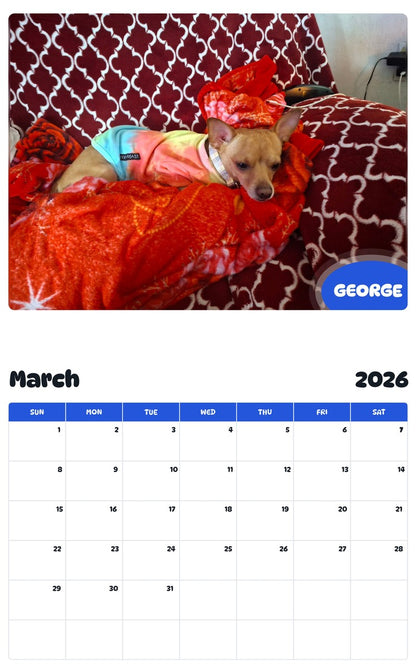 November 2025 - October 2026 GEORGE - Pawidols Pet Calendar