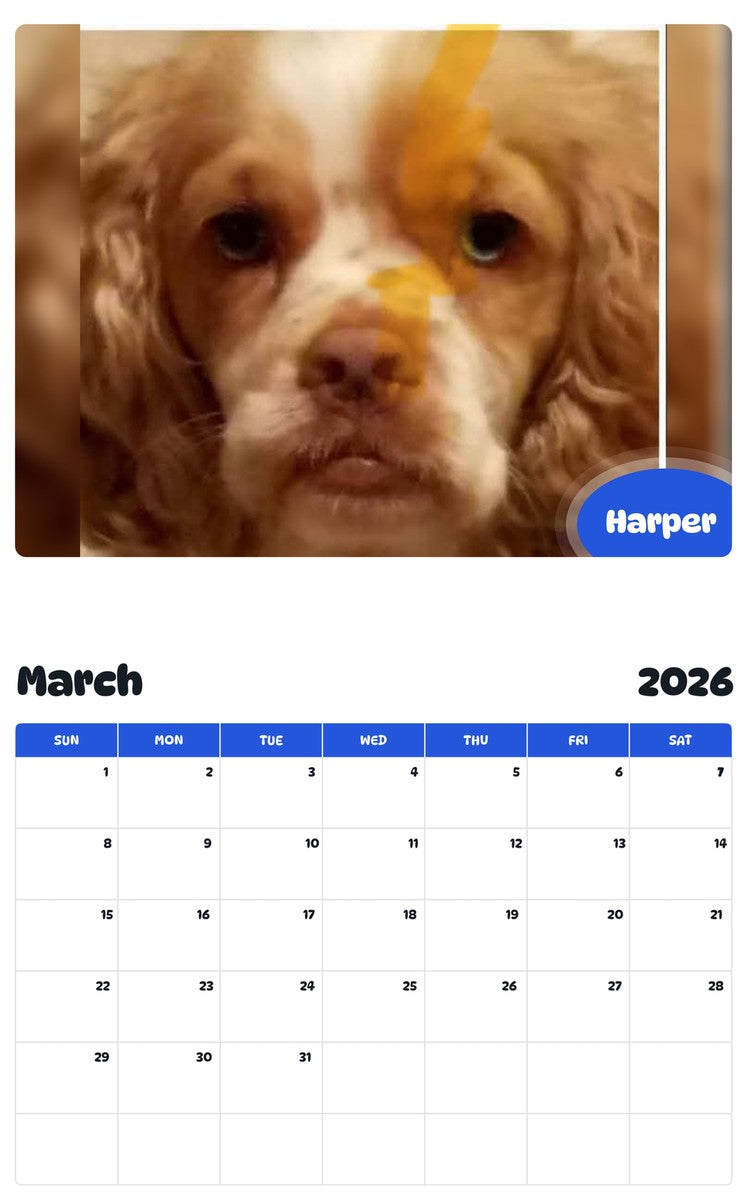 November 2025 - October 2026 Harper - Pawidols Pet Calendar