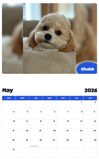 2026 - 2027 Chubb - Pawidols Pet Calendar