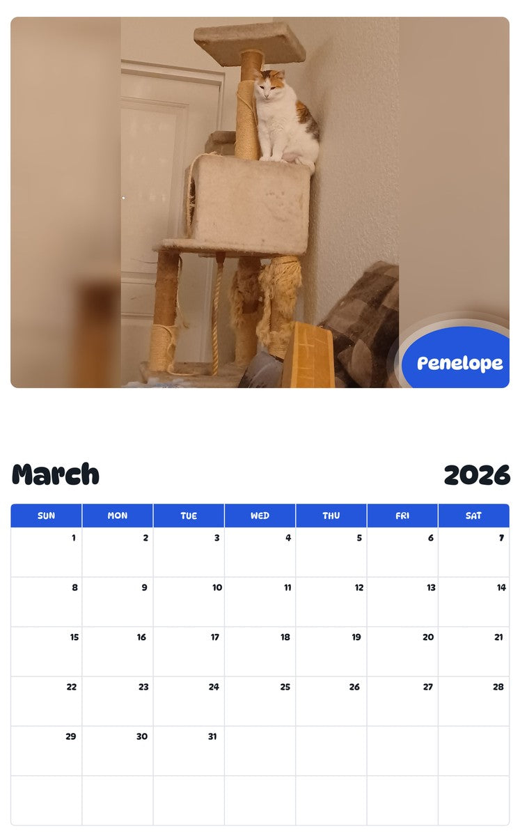 November 2025 - October 2026 Penelope - Pawidols Pet Calendar