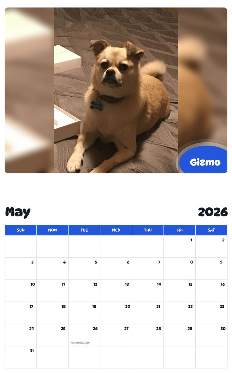2026 - 2027 Gizmo - Pawidols Pet Calendar