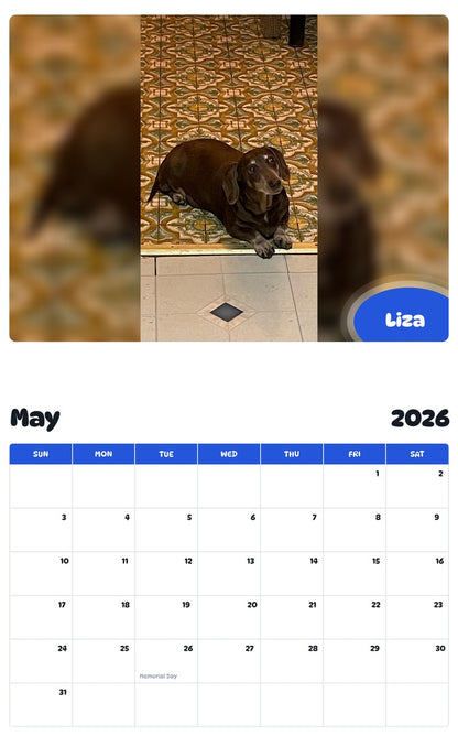 2026 - 2027 Liza - Pawidols Pet Calendar