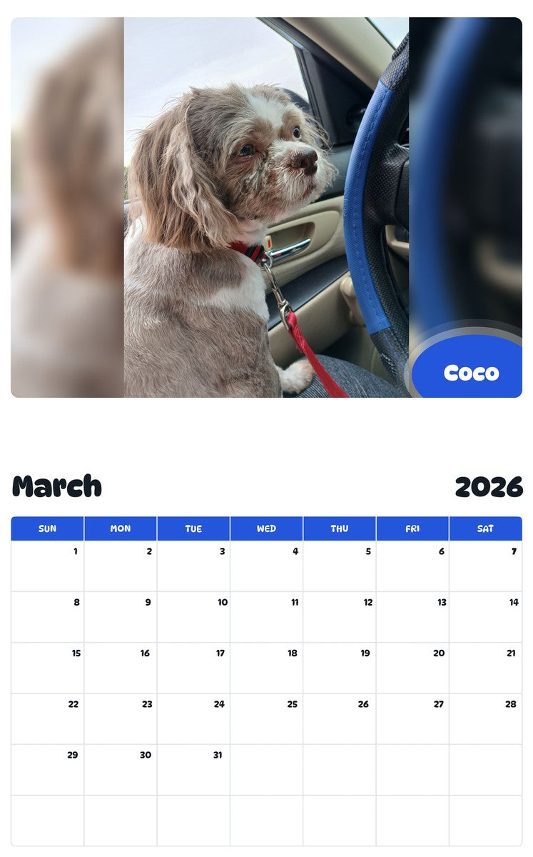 November 2025 - October 2026 Coco - Pawidols Pet Calendar