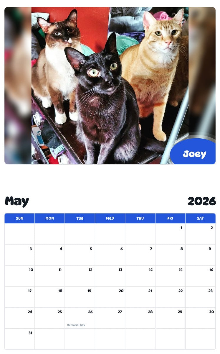 2026 - 2027 Joey - Pawidols Pet Calendar