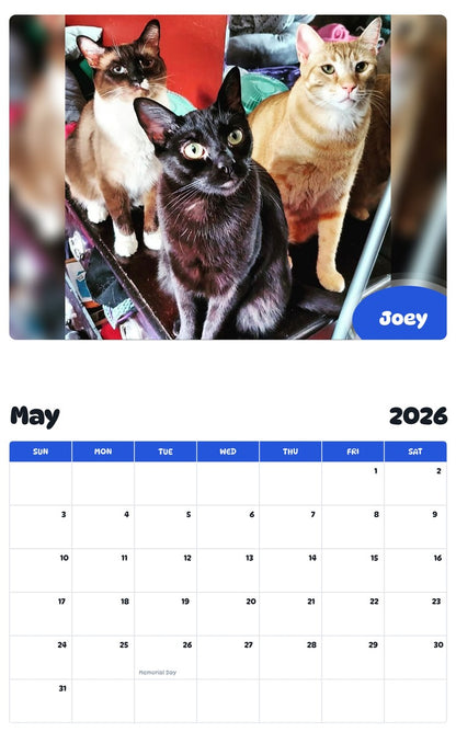 2026 - 2027 Joey - Pawidols Pet Calendar