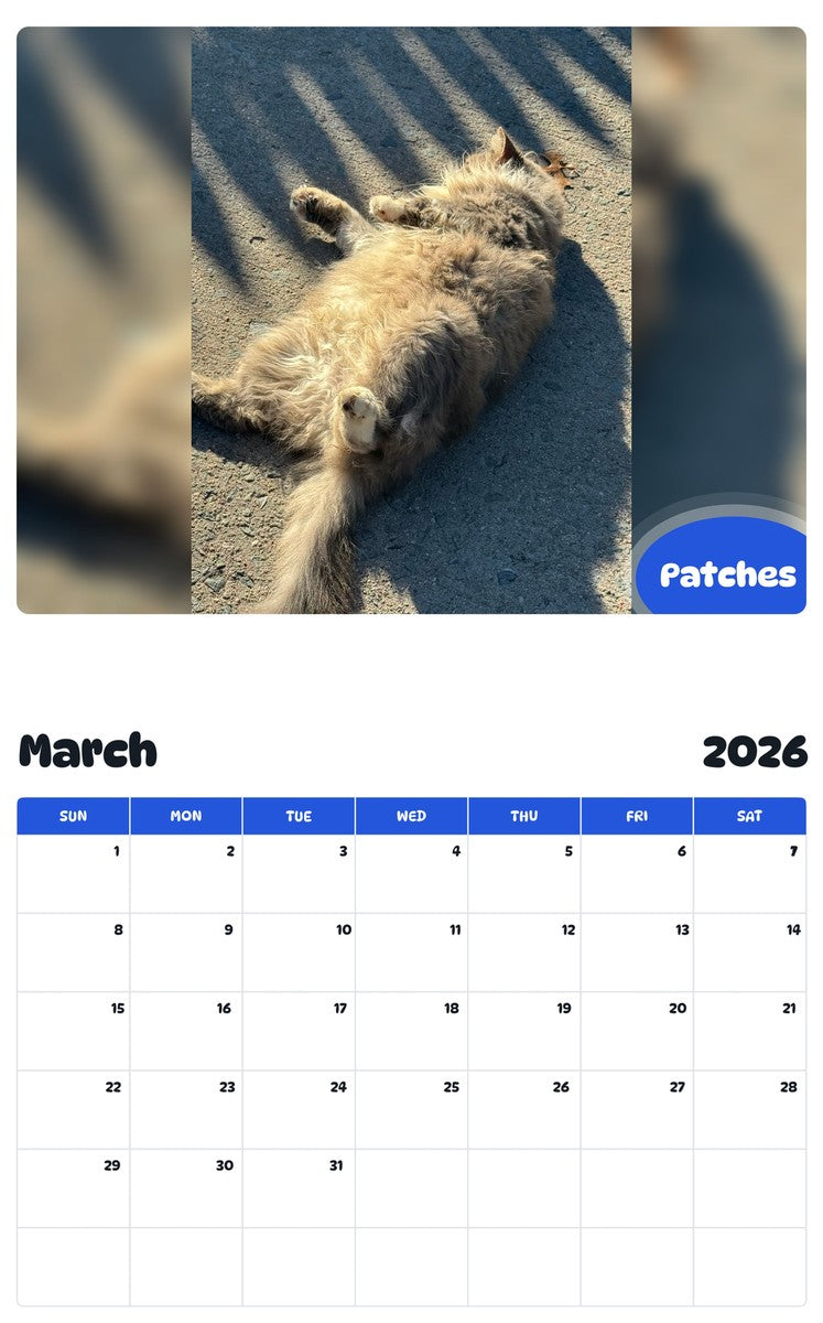 November 2025 - October 2026 Patches - Pawidols Pet Calendar