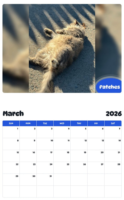 November 2025 - October 2026 Patches - Pawidols Pet Calendar