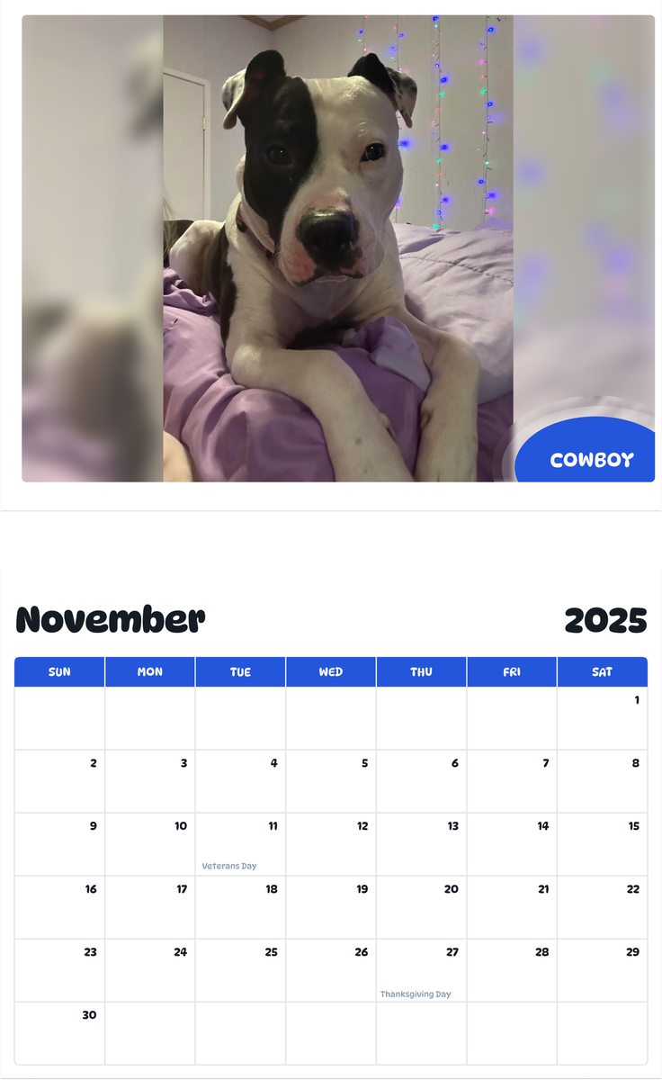 July 2025 - June 2026 Cowboy - Pawidols Pet Calendar