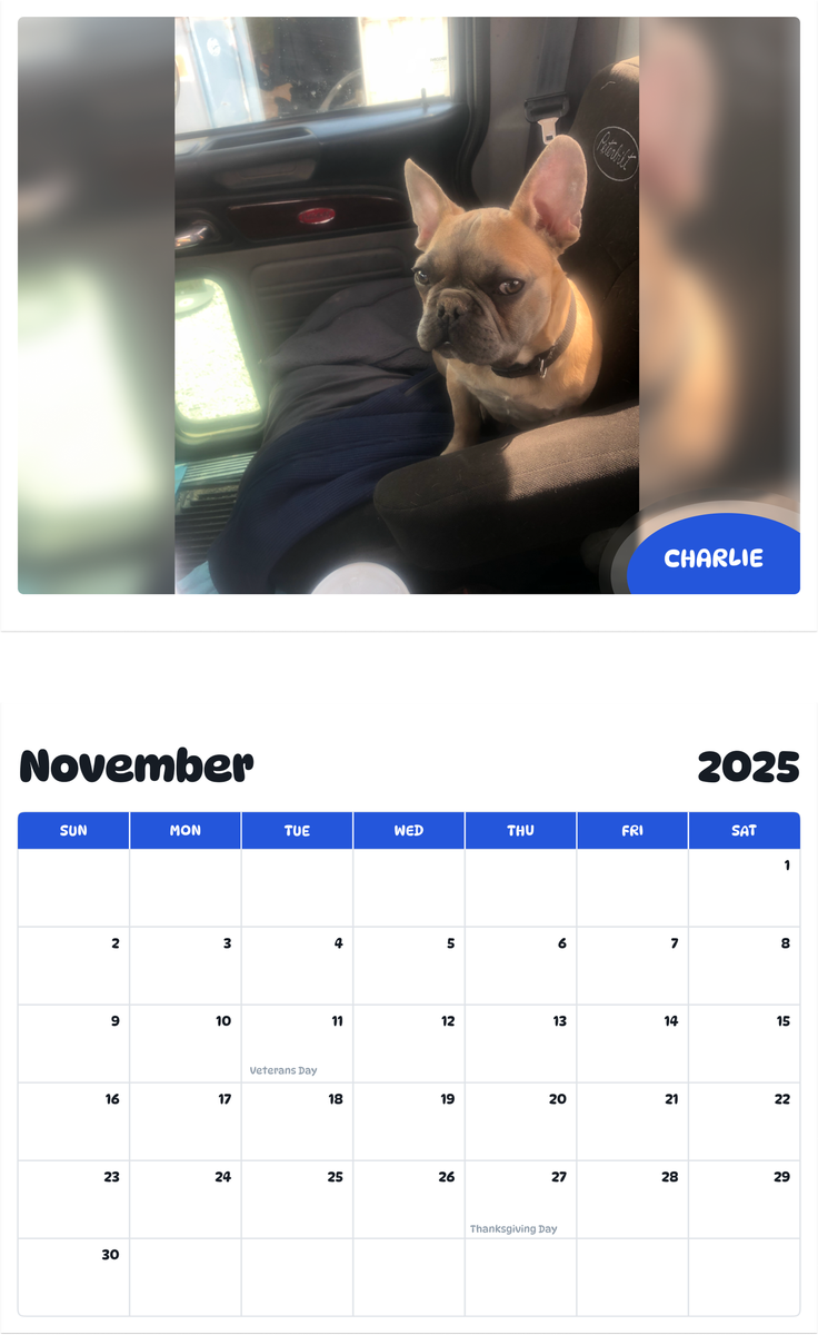 July 2025 - June 2026 Charlie - Pawidols Pet Calendar