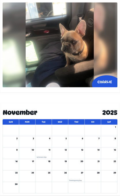 July 2025 - June 2026 Charlie - Pawidols Pet Calendar