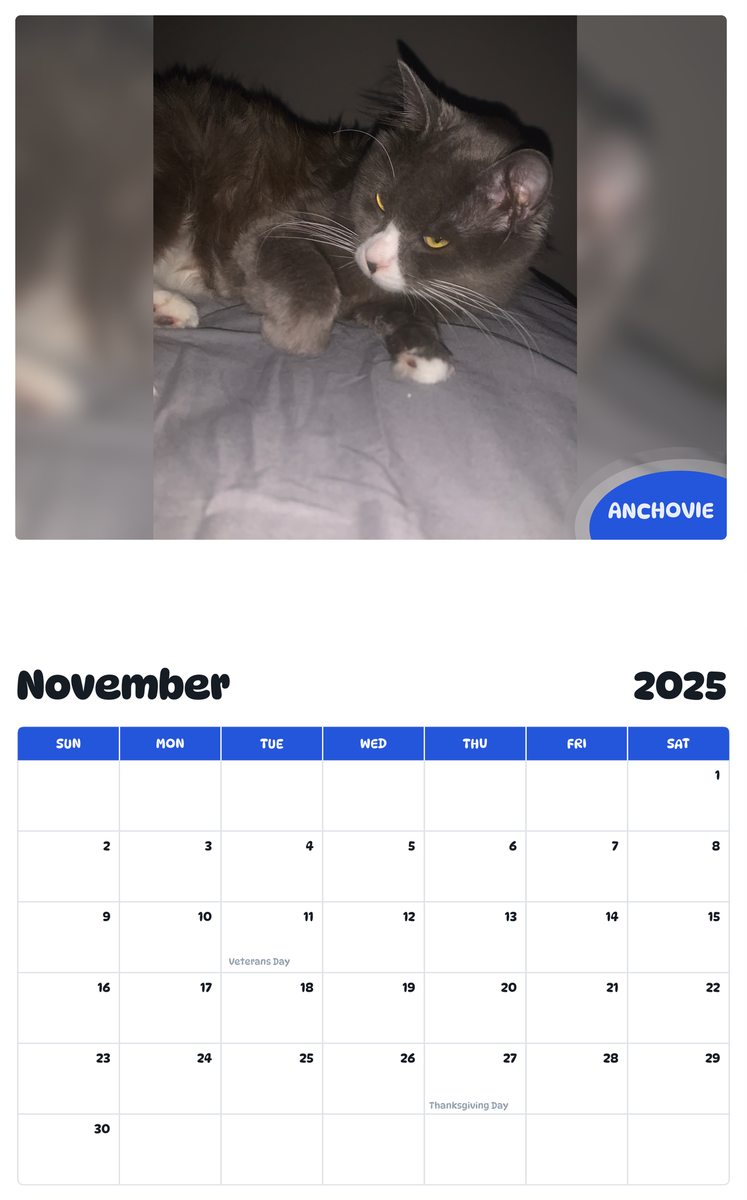 July 2025 - June 2026 Anchovie - Pawidols Pet Calendar